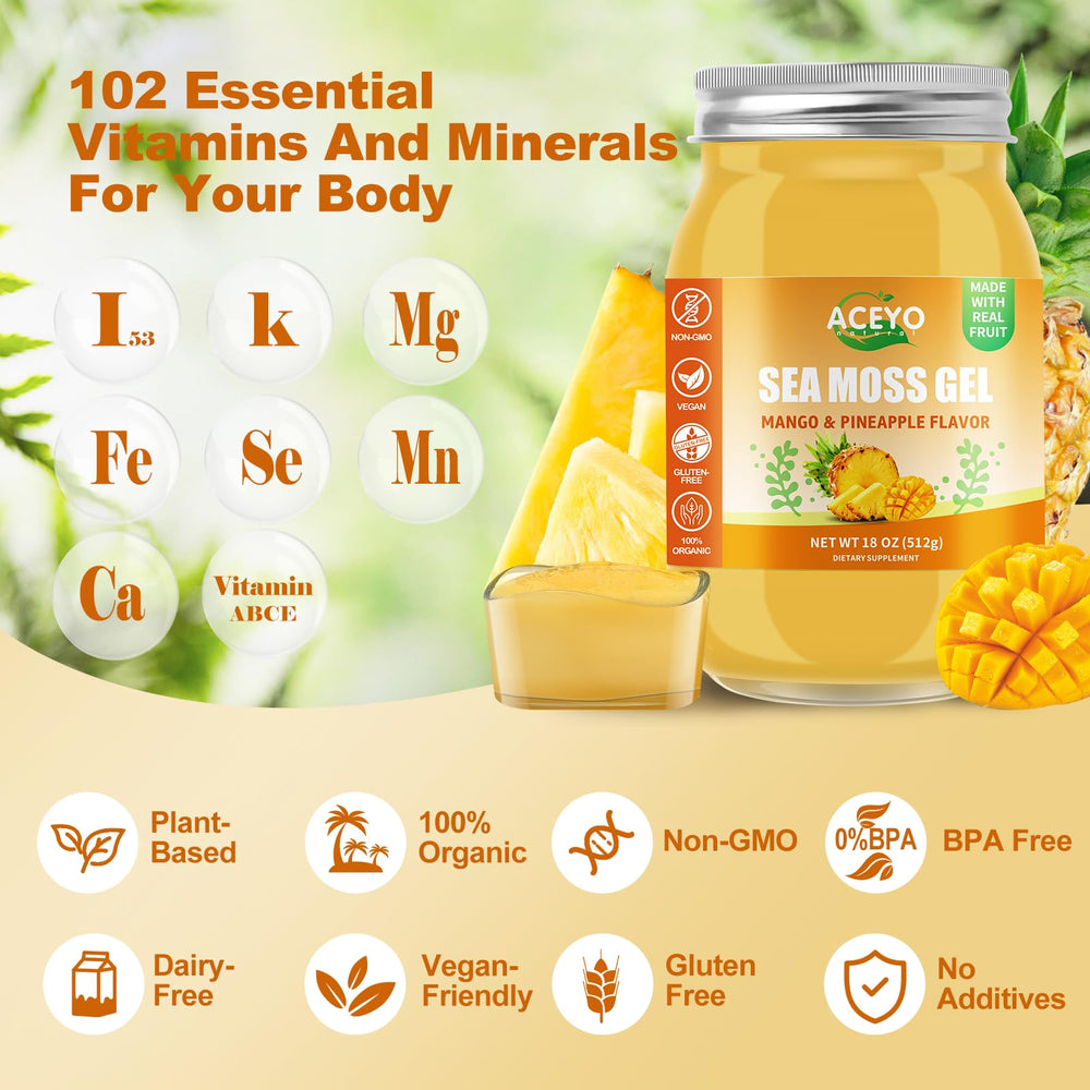 ACEYO Irish Sea Moss Gel mango pineapple smoothie bowl demonstrates versatile preparation