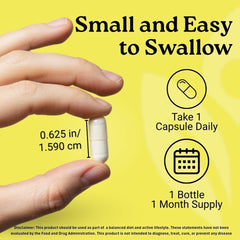 Activa Labs Vitamin D3 & K2 bottle in hand suggests easy-to-swallow capsules.