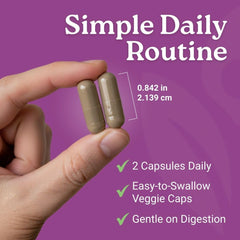 Activa Labs+ Hormone Balance ingredients-chart reflects science-backed nutrients.