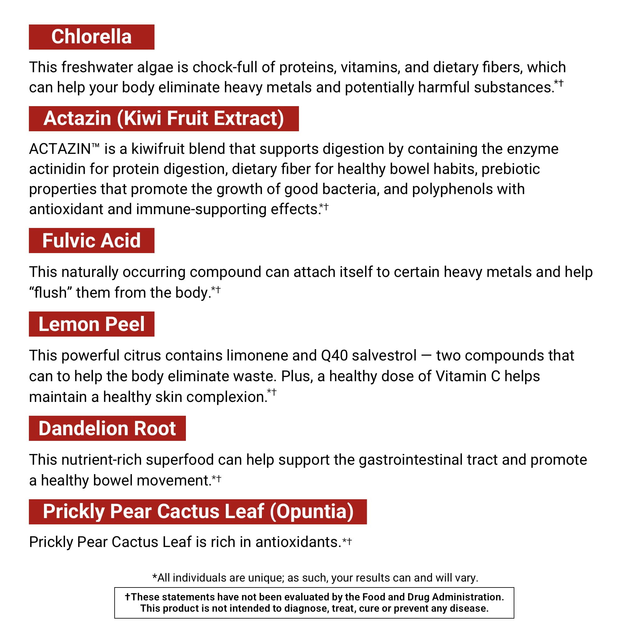 ActivatedYou Total Bio Reset prickly pear leaf close-up signaling natural cleansing support