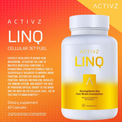 Close-up of ACTIVZ LINQ capsules highlighting ingredients for gut health.