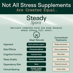 Steady Spirit label close-up highlighting saffron, ashwagandha, and lemon balm benefits