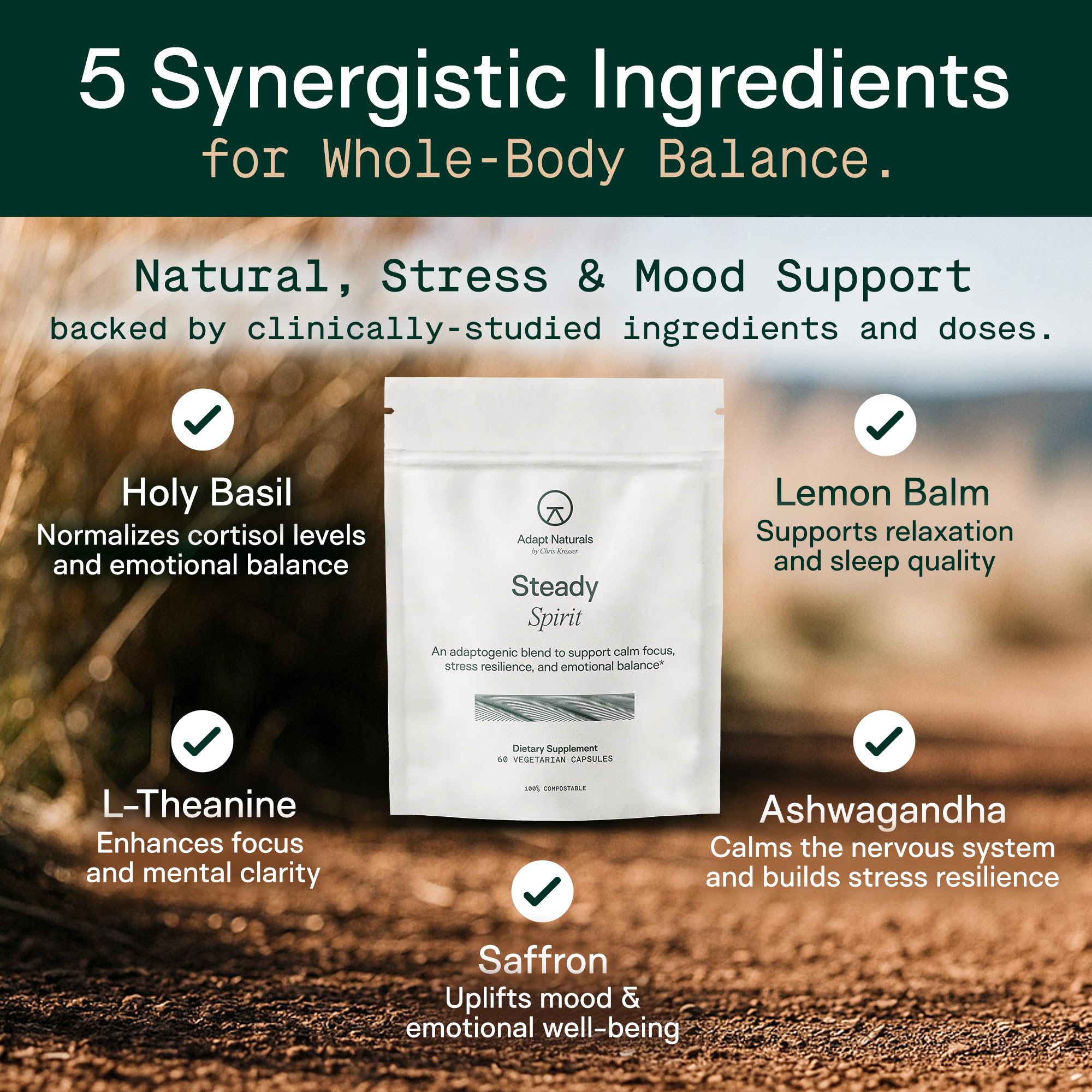 Packaging box of Adapt Naturals Steady Spirit shows premium mood and sleep support