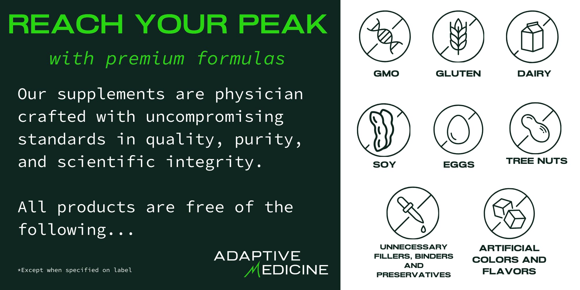 Alpha Lipoic Acid section signals brain health support.