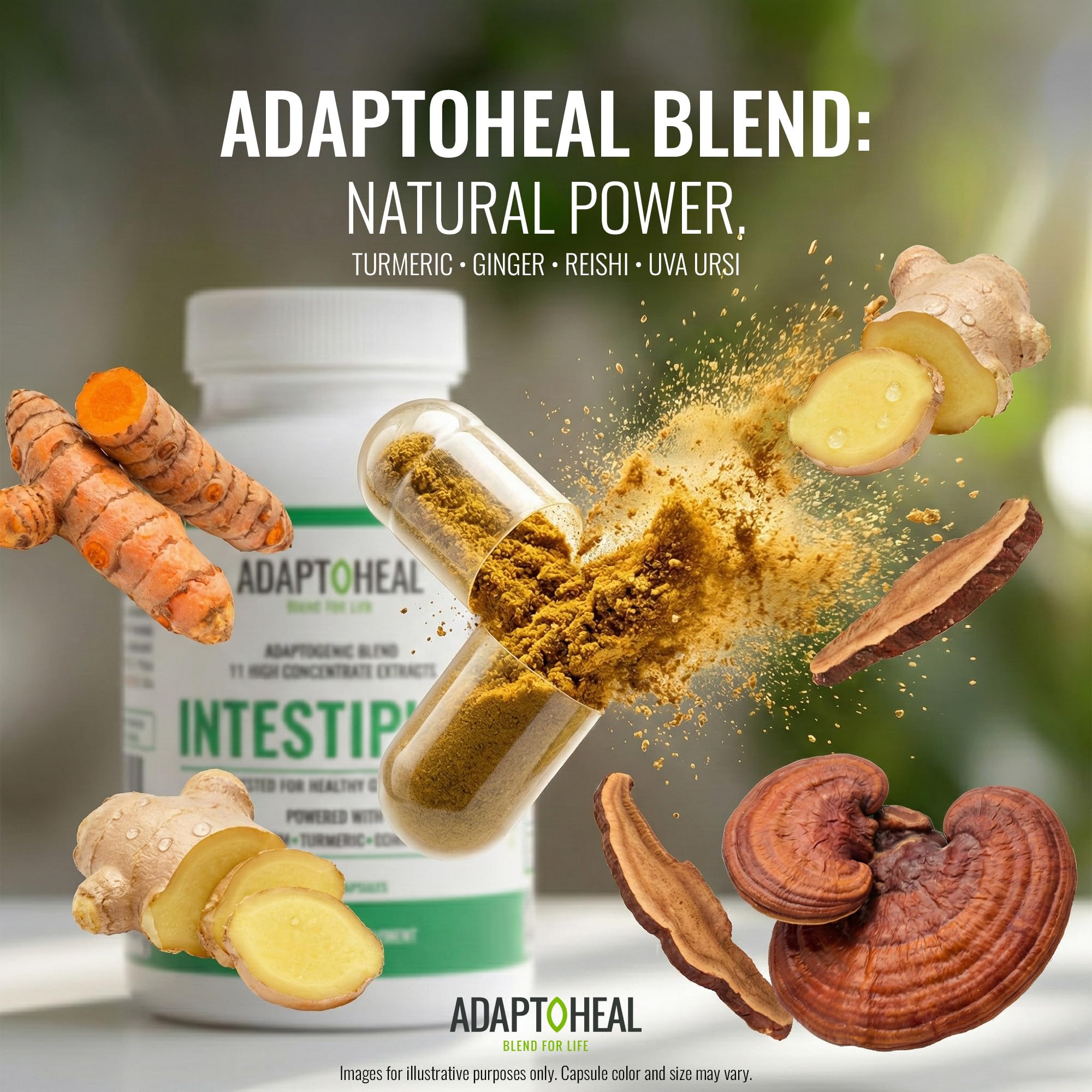 ADAPTOHEAL Intestiplus reishi turmeric ginger scene for digestion comfort