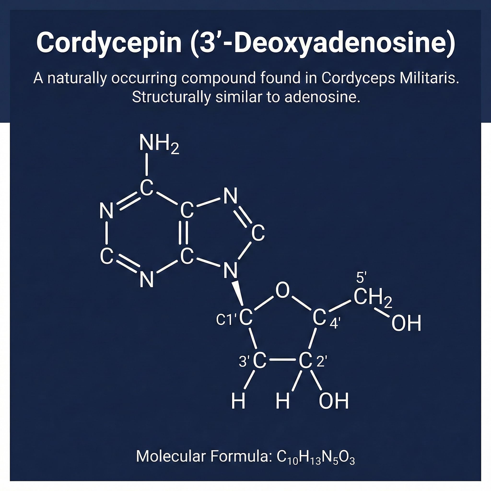 Addictive Wellness Cordyceps Militaris cordycepin graphic hints at energy benefits.