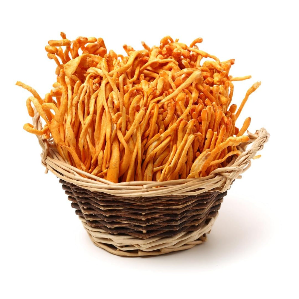 Addictive Wellness Cordyceps Militaris jar closeup emphasizing purity and quality.