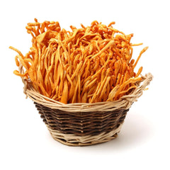 Addictive Wellness Cordyceps Militaris jar closeup emphasizing purity and quality.