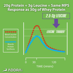 ADDRA Endurance Bar Real fruit and nuts ingredients shot for visible quality