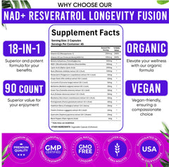 Adndale liposomal NAD delivery graphic emphasizing efficient cellular uptake