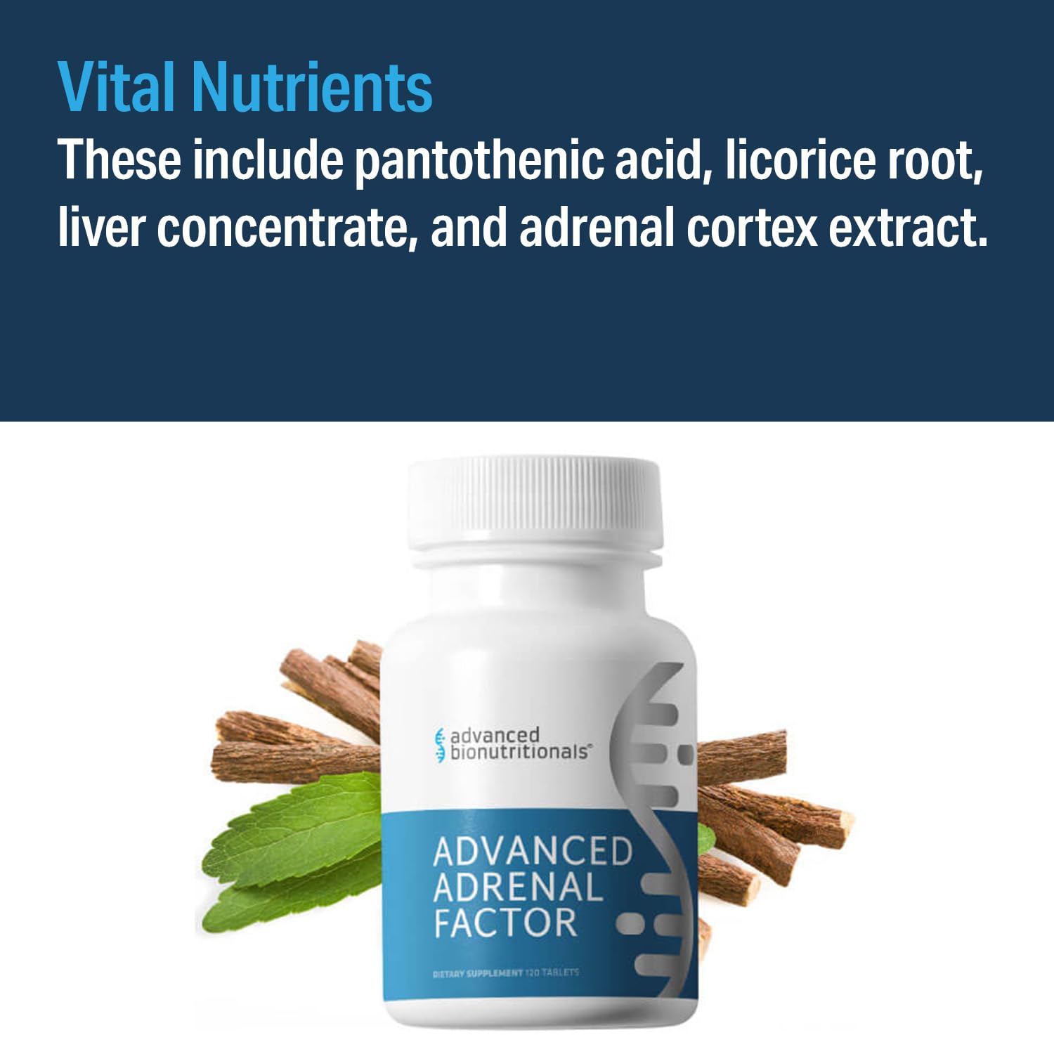 Advanced Adrenal Factor tablets in a spoon suggest easy daily dosing.