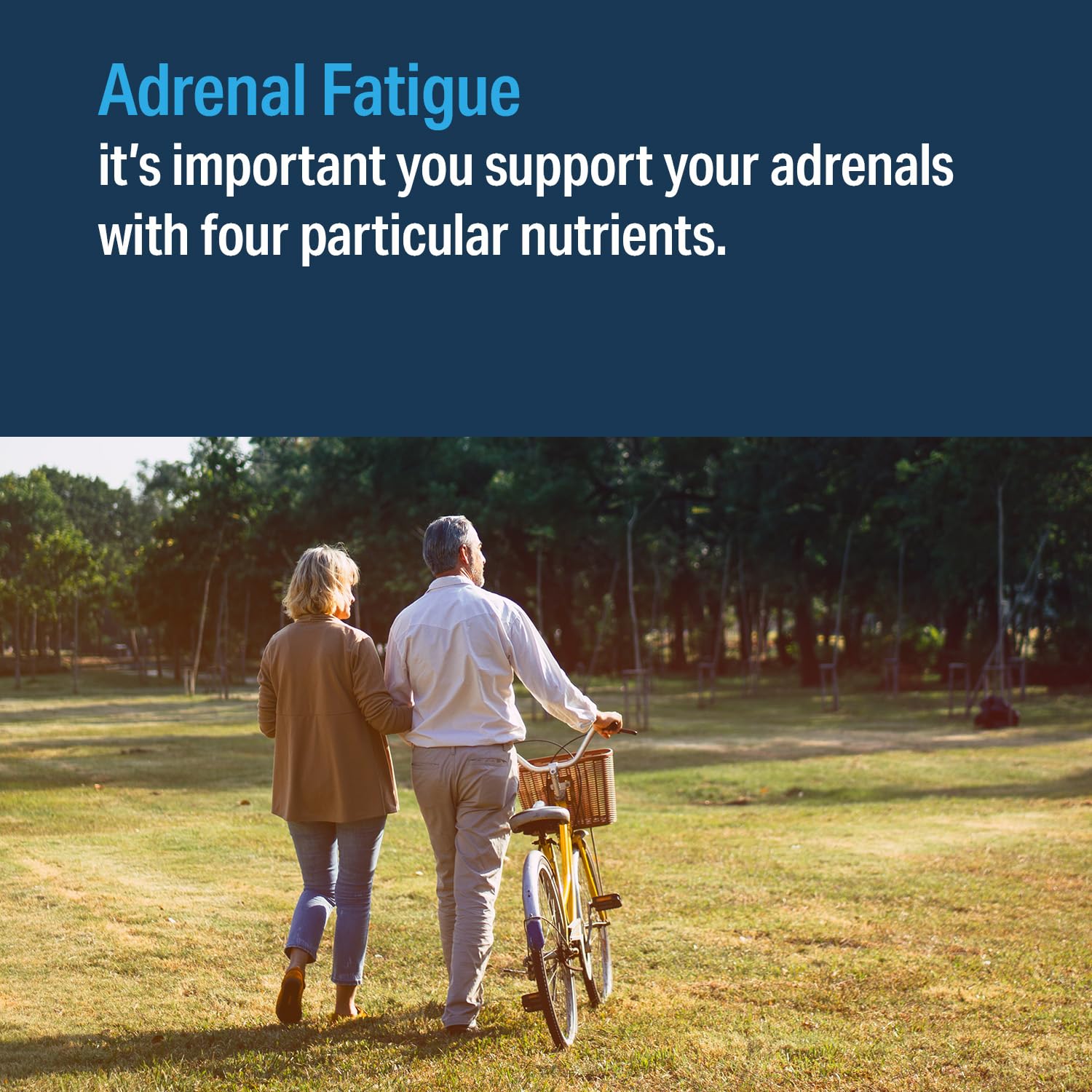 Bottle and packaging show vegan and gluten-free attributes for Advanced Adrenal Factor.