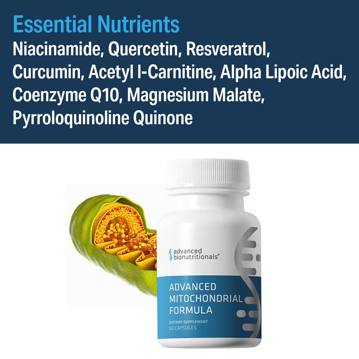 Label close-up highlighting Niacinamide for energy production and antioxidant ingredients.