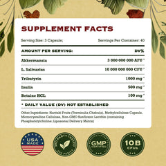 AdvantageNutra Prebiotics and fiber blend image highlighting gut nourishment.