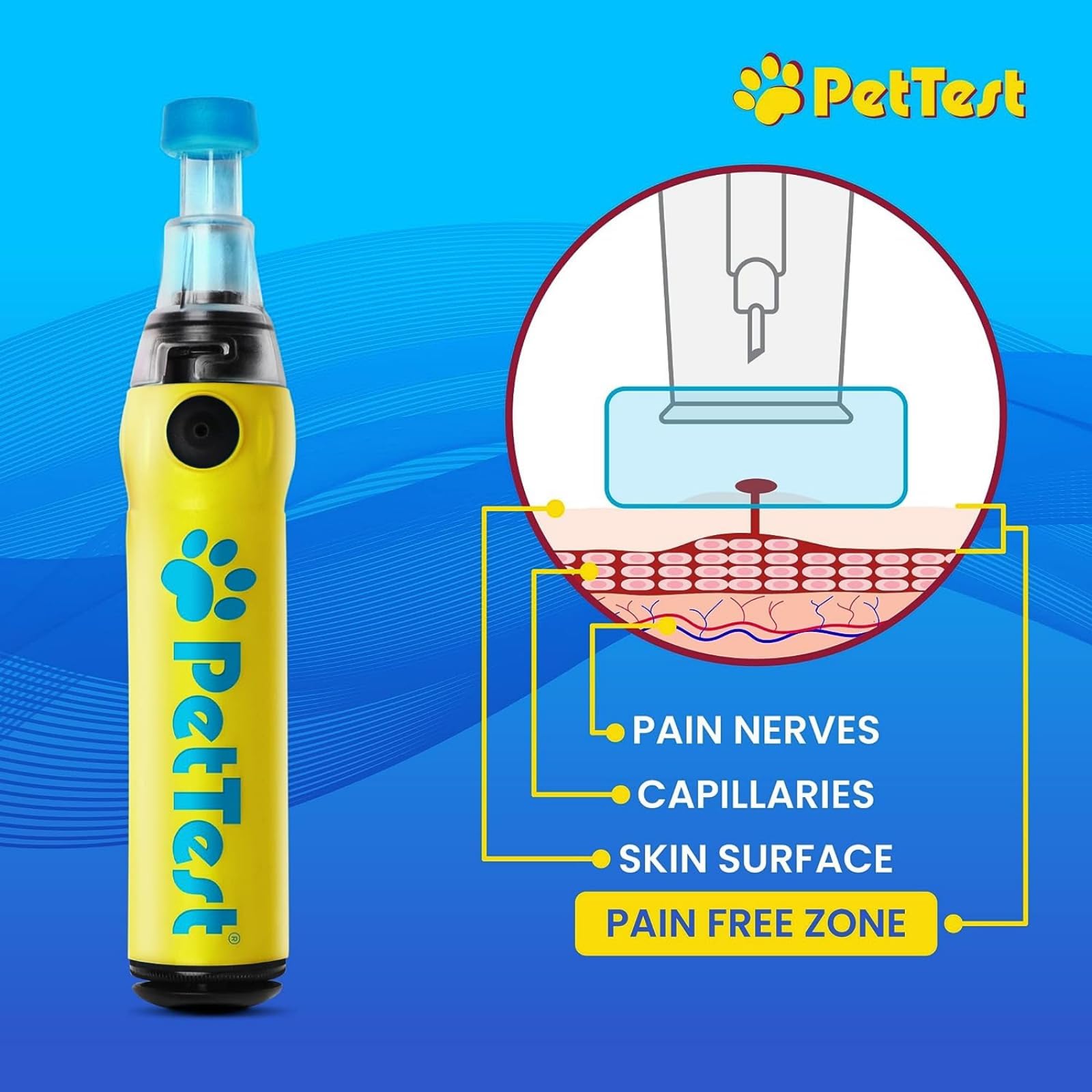 Advocate PetTest lancets designed for small blood samples with minimal discomfort.