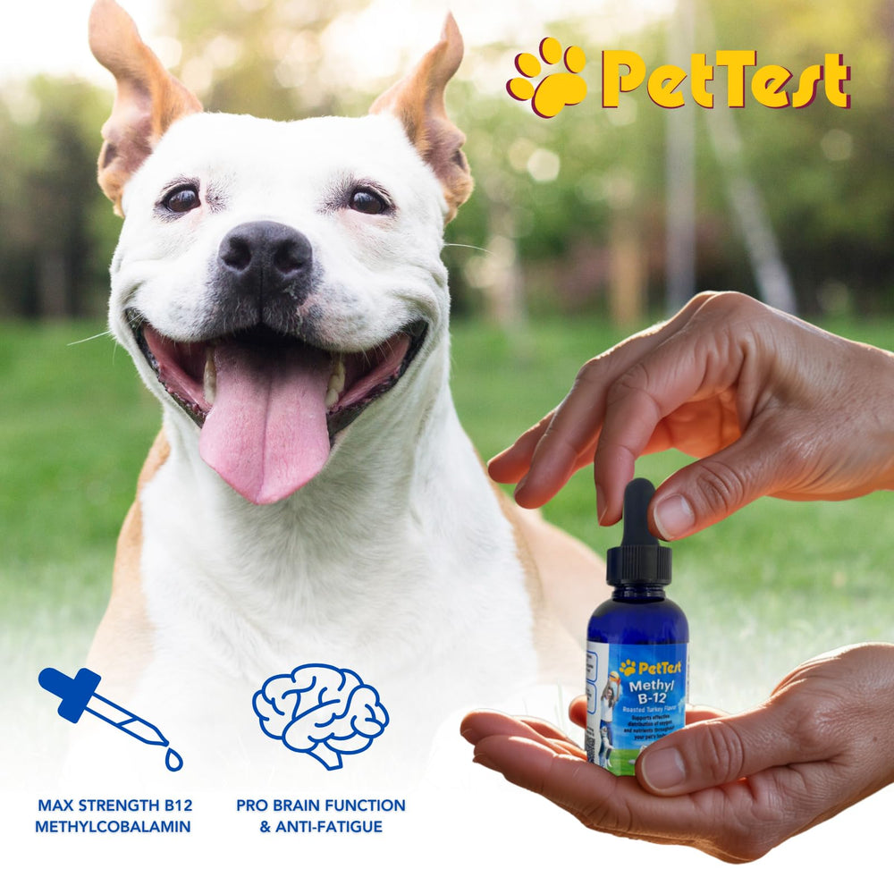 Advocate PetTest methyl B12 drops dropper pouring a measured dose for pets' daily use