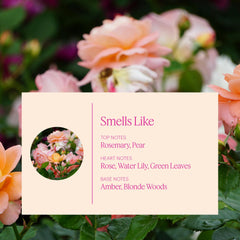 AERA Flower Shop refill indicates long-lasting scent up to 60 days.