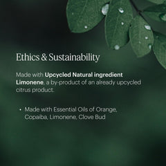AERA Flower Shop refill highlights sustainable ingredients and pet-friendly use.
