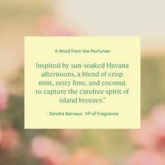 Close-up of Havana Breeze bottle for consistent diffusion with full-size Aera diffuser