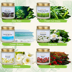 Aeraroma white frosted jar candle offering elegant room lighting.
