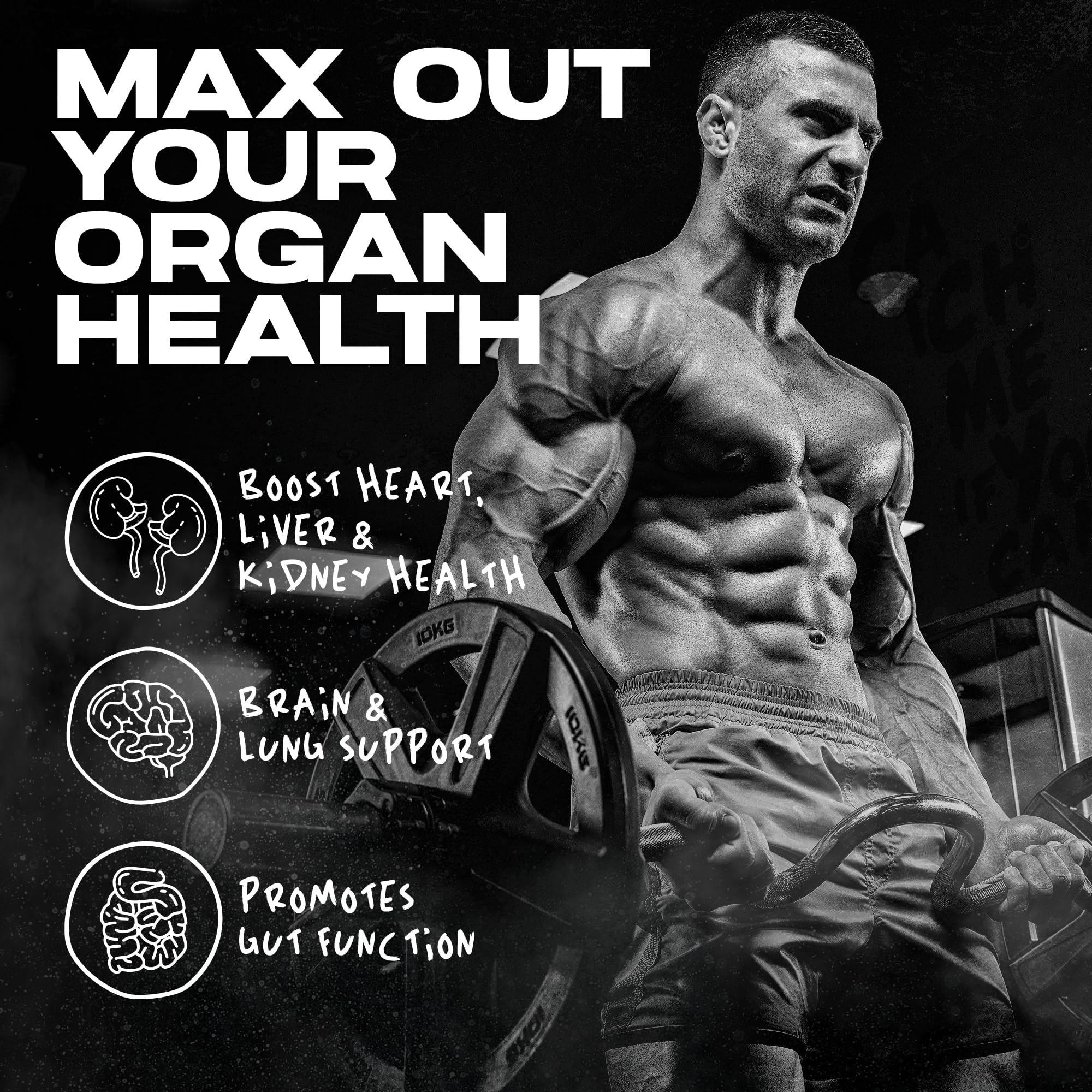AfterDARK OrganX capsules inside, convenient daily organ support for liver, heart, kidneys, and more.