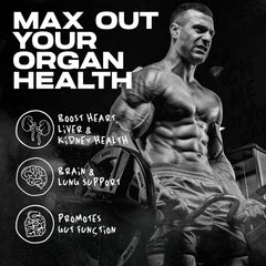 AfterDARK OrganX capsules inside, convenient daily organ support for liver, heart, kidneys, and more.
