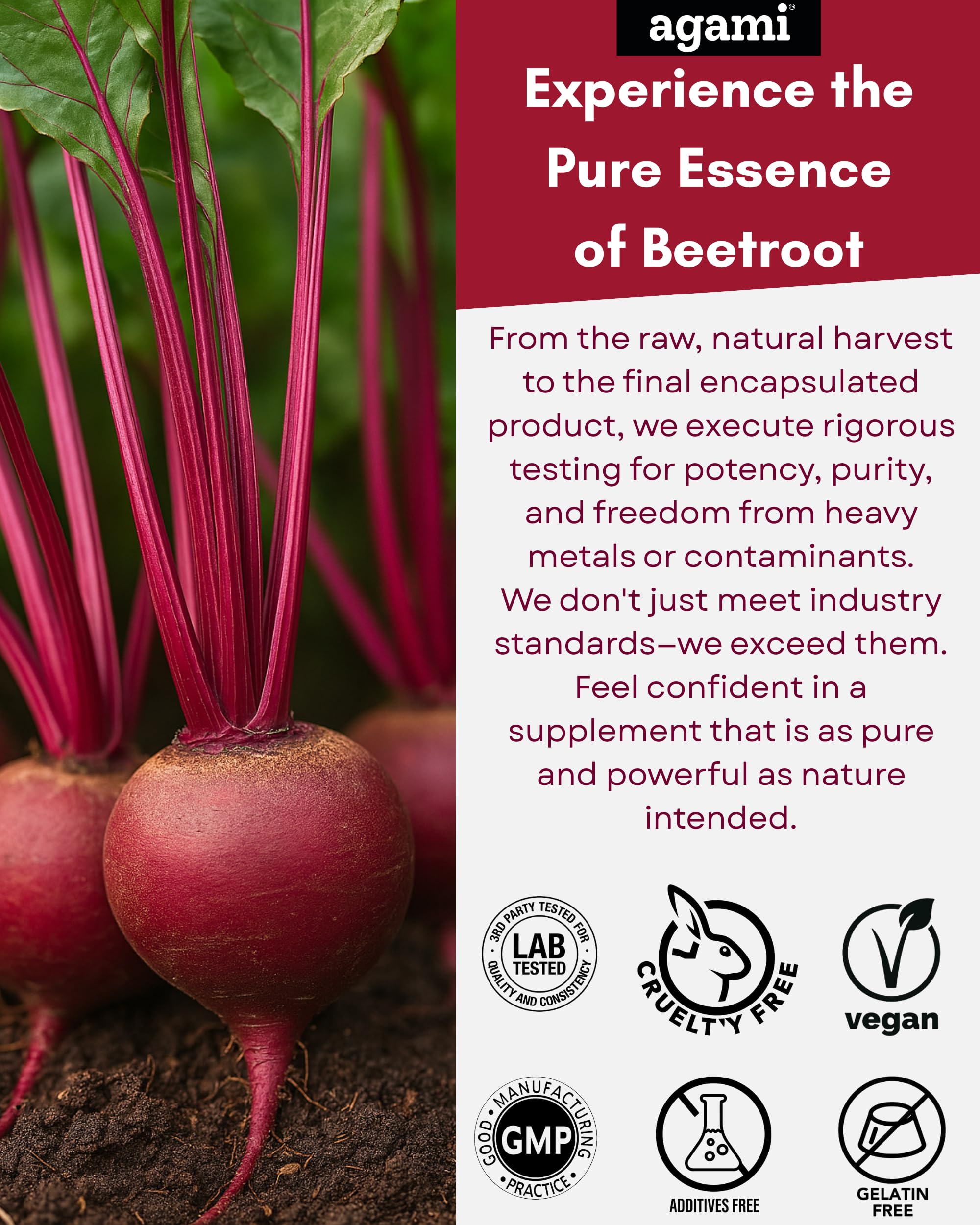 Agami Beet Root Capsules vegan capsules ready for daily routine