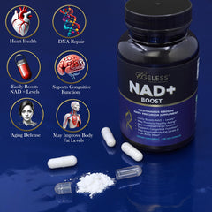 Ageless NAD+ NR bottle label detail emphasizing longevity support.