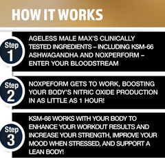 Ageless Male Max bottle label front highlighting NOXPerform and KSM-66 for performance.