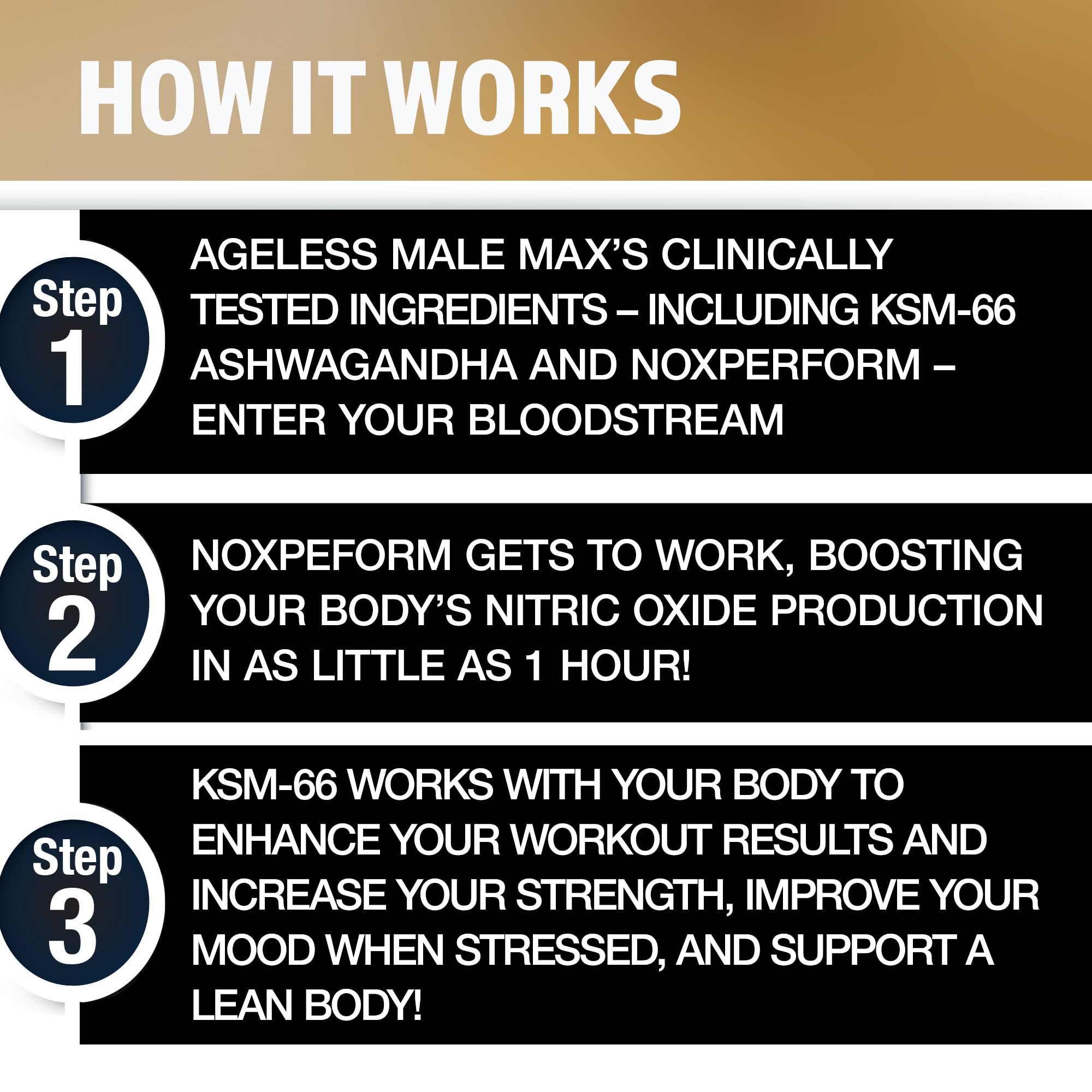 Athlete using Ageless Male Max for lean gains and sustained energy