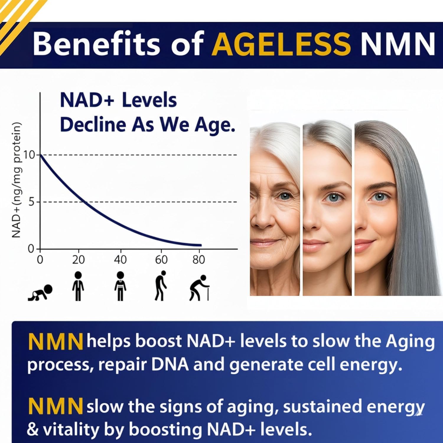 Close-up of Ageless NMN capsules for convenient daily dose.