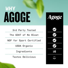 Agoge Matcha Flavor Smoothie Setup — vibrant flavor with clean nutrition.