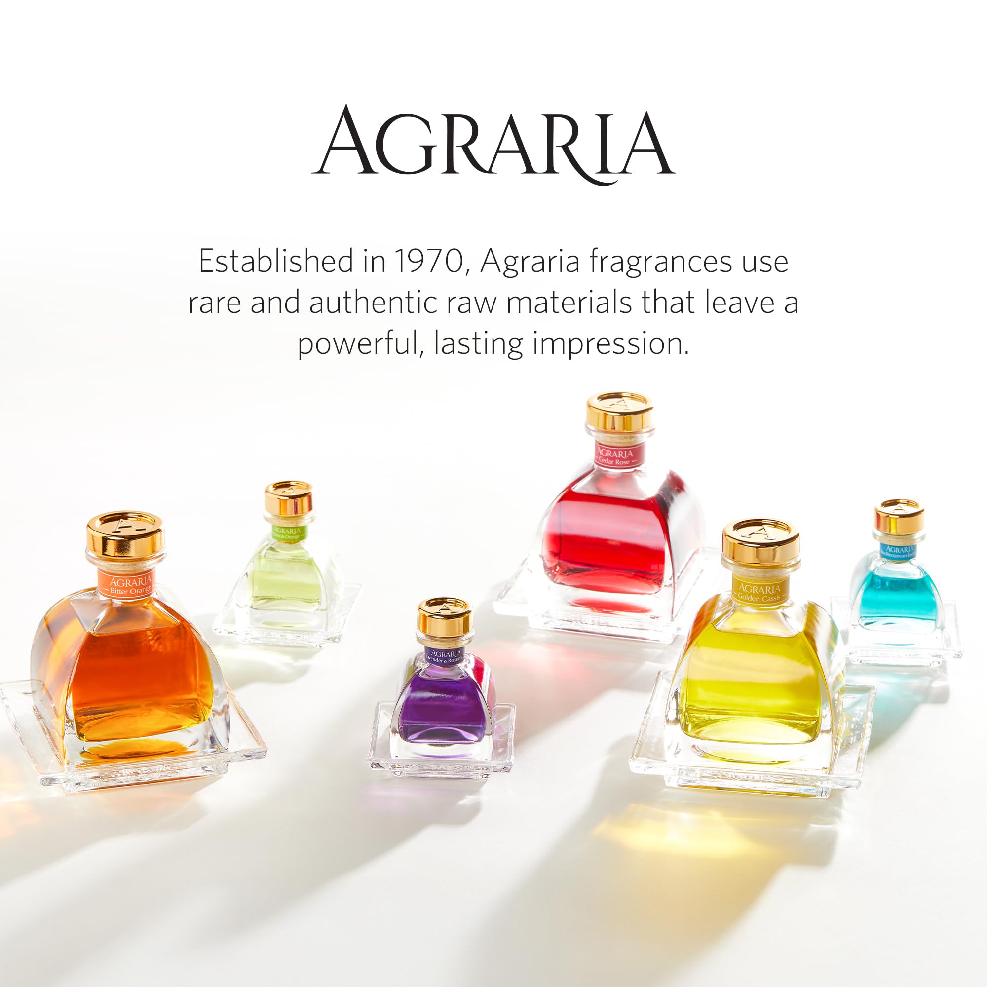 AGRARIA PetiteEssence diffuser in room enhances ambience with natural botanical notes