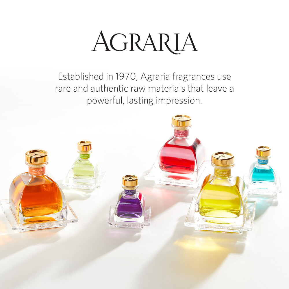 AGRARIA PetiteEssence diffuser in room enhances ambience with natural botanical notes