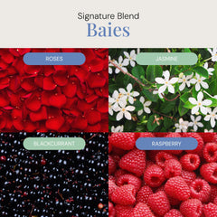 Air Esscentials Baies aroma oil floral bouquet features blackcurrant and citrus notes.