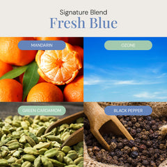Air Esscentials Fresh Blue Aroma Oil bottle highlighting Mandarin notes for scent.