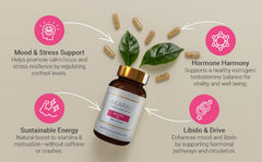 Handpicked rainforest harvest image signaling quality and sustainability