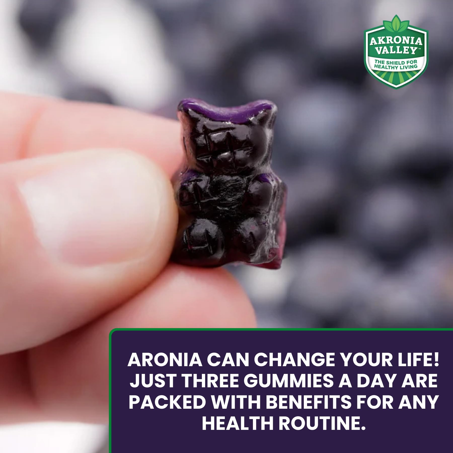 Akronia Valley Aronia Berry Gummies pack two—family-friendly daily supplement