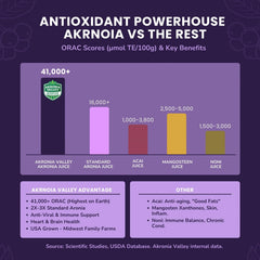 Aronia juice stirred into tea for a vibrant daily ritual.