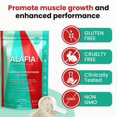 Alafia Naturals clear vegan protein tub beside sunny outdoor workout.