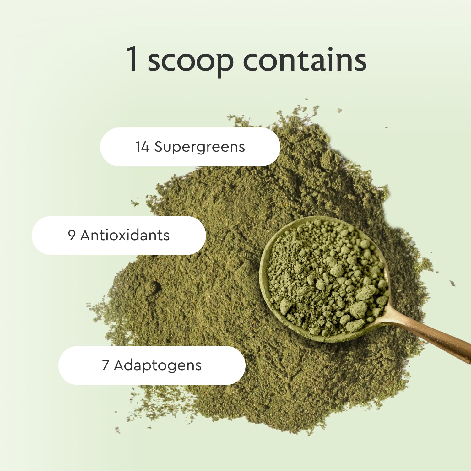 Alaya Naturals Organic Super Greens Powder label closeup highlighting organic ingredients.
