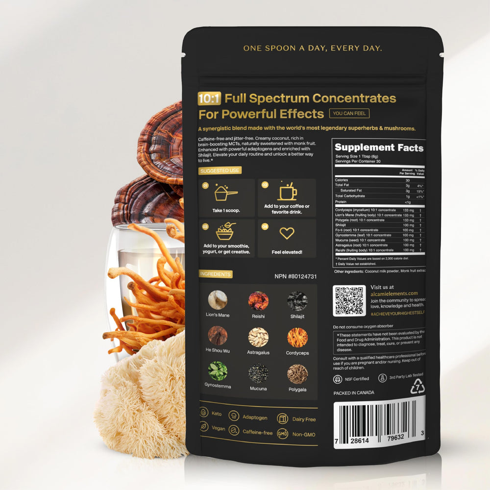 alcami elements Mushroom Espresso Coffee routine promotes daily mindful energy