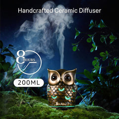 ALIEYE diffuser water tank showcasing 200ml capacity for longer use