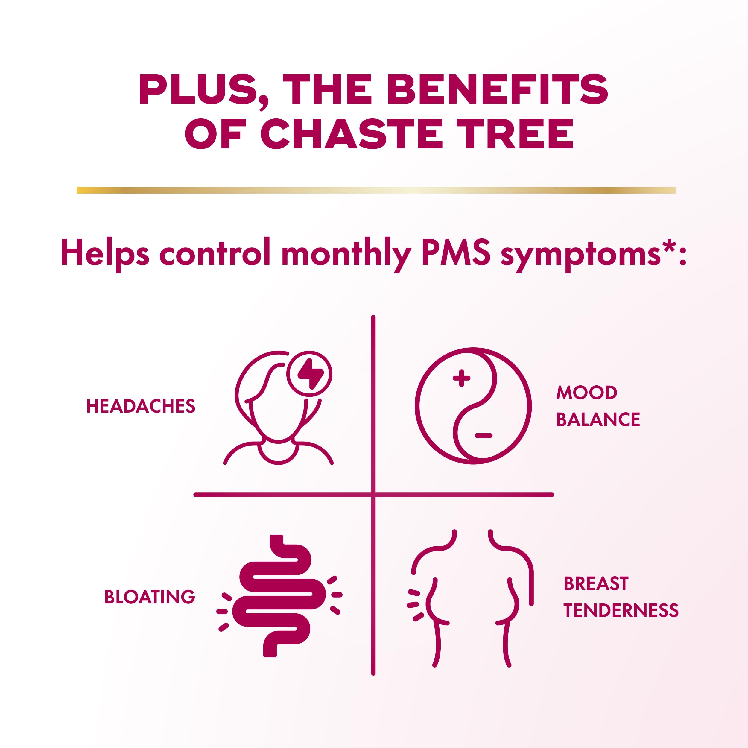Align Chaste Tree supplement for monthly mood balance
