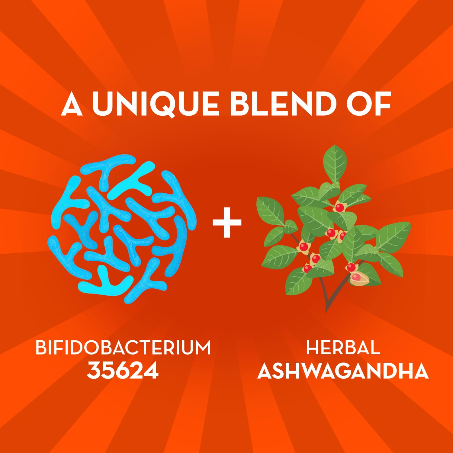 Align Probiotic bottle-label close-up highlighting Bifidobacterium 35624 strain for gut support.
