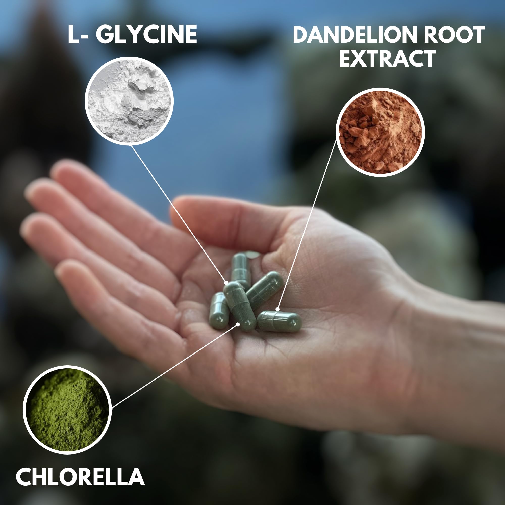 AlkaDetox packaging front showcases product features and clean ingredients