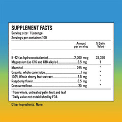 Alkaline for Life Rise Well B12 lozenge close-up underlines sublingual absorption.