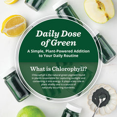 All About Juicing chlorophyll shot dilution with water for versatile use