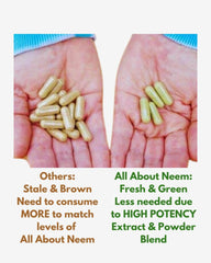 All About Neem production in a USA facility for quality manufacturing