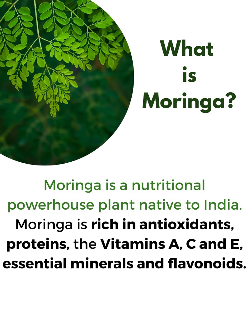 All About Neem moringa leaf close-up highlighting nutrient-dense vitamins and minerals